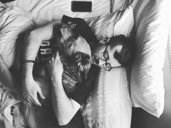 pet photography